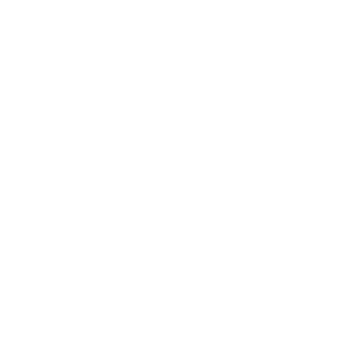 HanStone